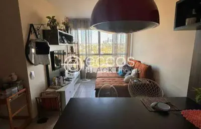 Apartamento à venda, 3 quartos, 1 suíte, 1 vaga, vigilato pereira - uberlândia/mg
