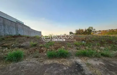 Terreno à venda na Alameda Grão Mestre, --, Jardim Karaíba, Uberlândia