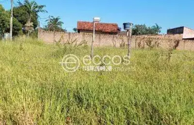 Terreno à venda na Avenida das Mussaendras, --, Jardim Célia, Uberlândia