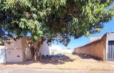 Terreno à venda na Rua Francisco Pinto, --, Lagoinha, Uberlândia