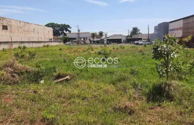 Terreno à venda na Rua Irmã Margarida, --, Bosque, Araguari