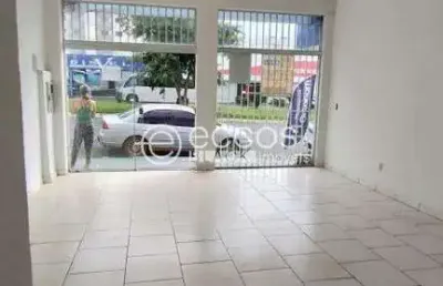 Imóvel comercial para aluguel, santa mônica - uberlândia/mg