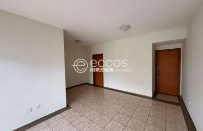 Apartamento para aluguel, 3 quartos, 1 suíte, 2 vagas, santa maria - uberlândia/mg