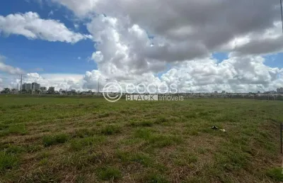 Terreno à venda na Rua Dos Tamboris, --, Jardim Sul, Uberlândia