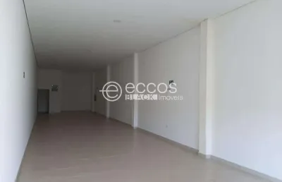 Barracão / Galpão / Depósito para alugar na Avenida Wilson Rodrigues da Silva, 1570, Residencial Pequis, Uberlândia
