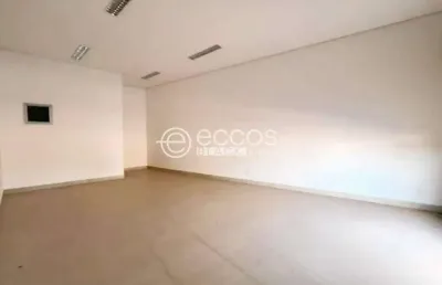 Loja para aluguel, 2 vagas, panorama - uberlândia/mg