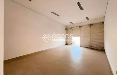 Loja para aluguel, 2 vagas, panorama - uberlândia/mg