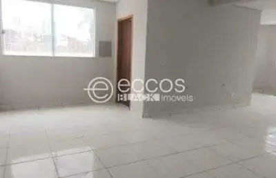 Imóvel comercial para aluguel, 6 vagas, vigilato pereira - uberlândia/mg