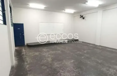Prédio para alugar na Avenida Engenheiro Diniz, --, Martins, Uberlândia
