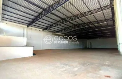 Barracão para aluguel, 1 quarto, novo mundo - uberlândia/mg