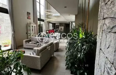 Casa à venda, 3 quartos, 3 suítes, 4 vagas, novo mundo - uberlândia/mg