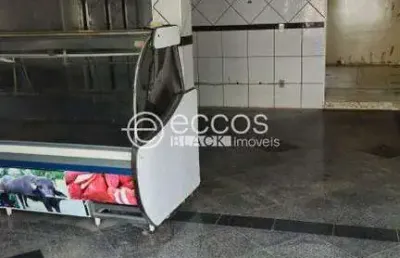 Imóvel comercial para aluguel, santa maria - uberaba/mg