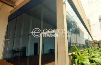 Imóvel comercial para aluguel, novo mundo - uberlândia/mg