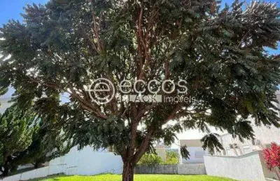 Terreno em condomínio à venda, nova uberlândia - uberlândia/mg
