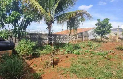 Terreno à venda na Rua Xilita, --, Dona Zulmira, Uberlândia