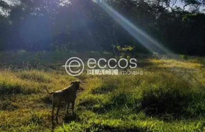 Terreno à venda, 3 quartos, área rural de uberaba - uberaba/mg