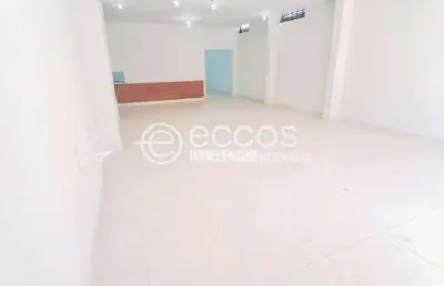 Imóvel comercial para aluguel, centro - araguari/mg