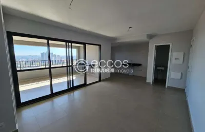 Apartamento para aluguel, 2 quartos, 2 suítes, 2 vagas, jardim sul - uberlândia/mg