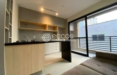 Apartamento para aluguel, 1 quarto, 1 suíte, 1 vaga, santa maria - uberlândia/mg