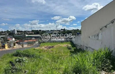 Terreno à venda na Rua Monte Carmelo, --, Martins, Uberlândia