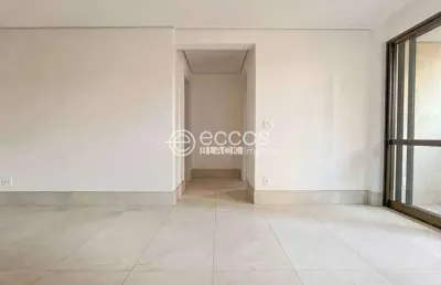 Apartamento à venda, 2 quartos, 2 suítes, 2 vagas, são pedro - belo horizonte/mg