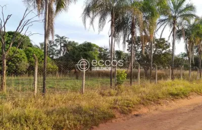 Chácara / sítio à venda na Rua Sibipiruna, --, Chácara Panorama, Uberlândia