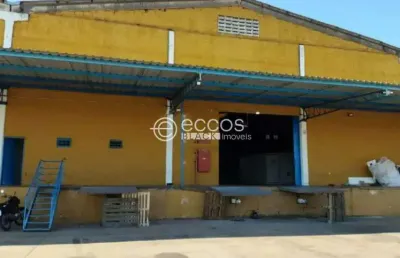 Galpão para aluguel, distrito industrial - uberlândia/mg