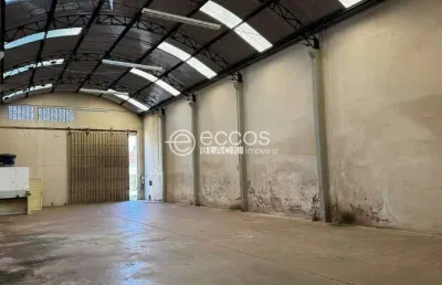 Galpão para aluguel, custódio pereira - uberlândia/mg