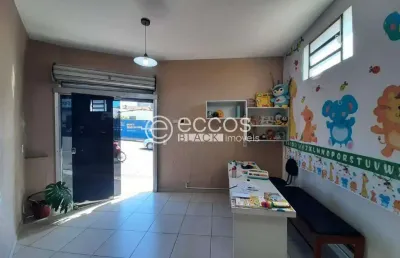 Imóvel comercial para aluguel, tubalina - uberlândia/mg