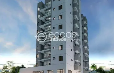 Apartamento à venda, 2 quartos, 1 suíte, novo mundo - uberlândia/mg