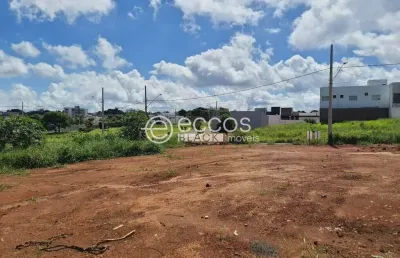 Terreno à venda, quinta alto umuarama - uberlândia/mg