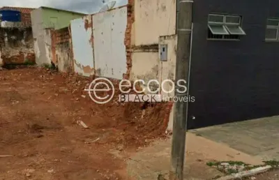 Terreno à venda na Rua Cesário Alvim, --, Rosário, Araguari