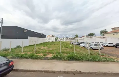 Terreno para aluguel, jardim karaíba - uberlândia/mg