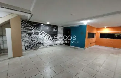 Galpão para aluguel, 2 vagas, manoel mendes - uberaba/mg