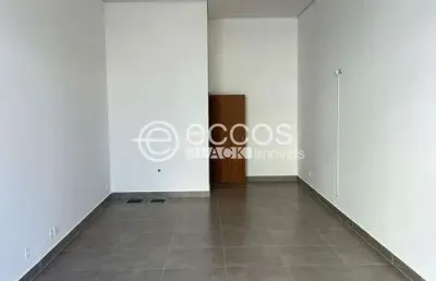 Ponto comercial à venda na Avenida Doutor Laerte Vieira Gonçalves, --, Santa Mônica, Uberlândia