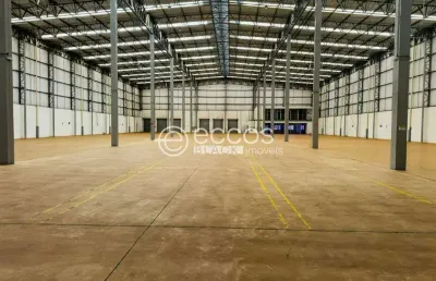 Barracão / Galpão / Depósito para alugar na Rodovia BR-497, --, Jardim Europa, Uberlândia