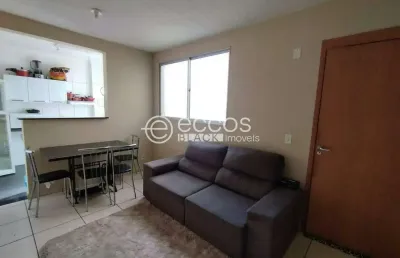 Apartamento para aluguel, 2 quartos, 1 vaga, residencial palmeiras - uberaba/mg