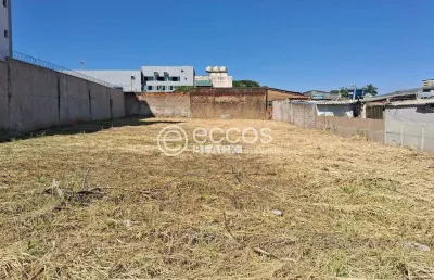 Terreno à venda na Avenida Estrêla do Sul, --, Osvaldo Rezende, Uberlândia