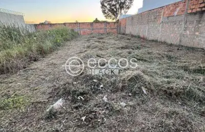 Terreno à venda na Rua Benjamin Constant, --, Miranda, Araguari