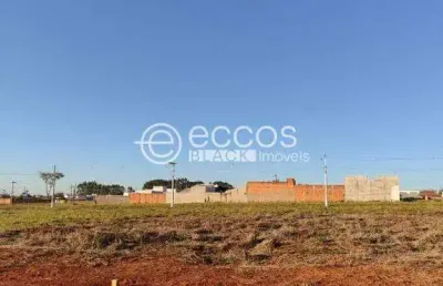 Terreno à venda na Q13 L08, --, Sibipiruna, Araguari