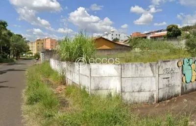 Terreno à venda, chácaras tubalina e quartel - uberlândia/mg