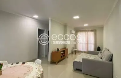 Apartamento para aluguel, 2 quartos, 1 suíte, 1 vaga, santa mônica - uberlândia/mg