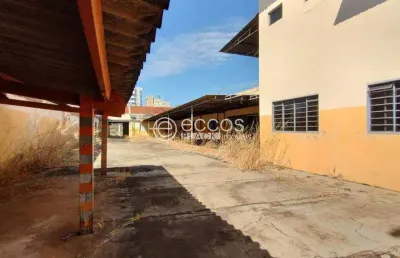 Barracão / Galpão / Depósito para alugar na Avenida Belo Horizonte, 789, Martins, Uberlândia