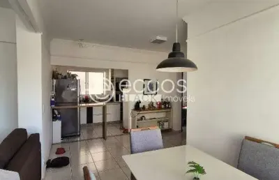Apartamento à venda, 2 quartos, 1 suíte, 2 vagas, santa mônica - uberlândia/mg