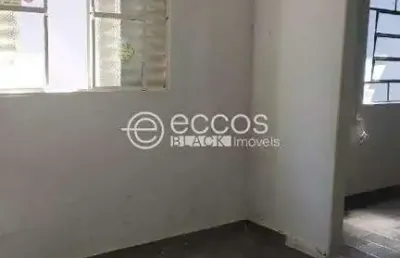 Casa para aluguel, 3 quartos, 2 vagas, ouro verde - araguari/mg