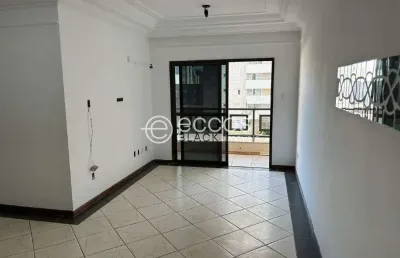 Apartamento para aluguel, 3 quartos, 1 suíte, 2 vagas, patrimônio - uberlândia/mg