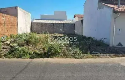 Terreno comercial à venda na Rua Sonilda Costa Ribeiro, --, Brasília, Araguari