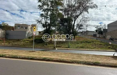 Terreno comercial à venda na Rua dos Cravos, Q57 L18A, Cidade Jardim, Uberlândia