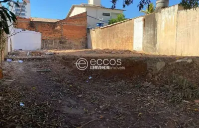 Terreno comercial à venda na Rua Izaura Augusta Pereira, 478, Santa Mônica, Uberlândia