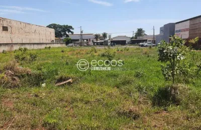 Terreno comercial à venda na Rua Irmã Margarida, --, Bosque, Araguari